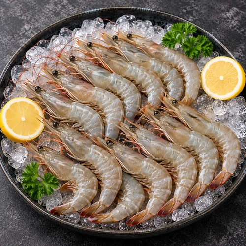 جمبري متوسط-صغير 40/50